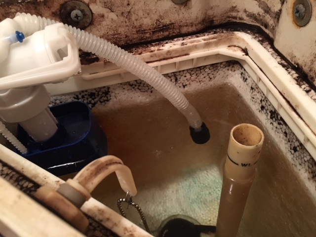 オーバーフロー管を見て、オーバーフローしているか、していないかを確認します。