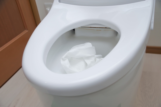 パイプユニッシュでトイレつまりは解消できる？パイプユニッシュを徹底解説