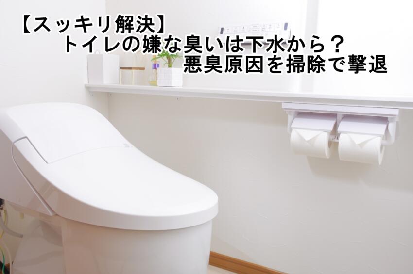 【スッキリ解決】トイレの嫌な臭いは下水から？悪臭原因を掃除で撃退