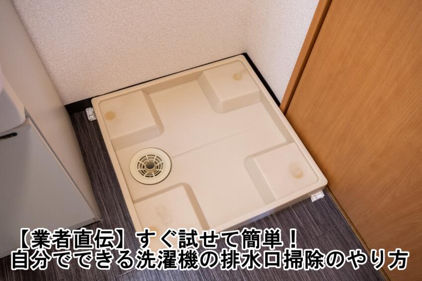 【業者直伝】すぐ試せて簡単！自分でできる洗濯機の排水口掃除のやり方