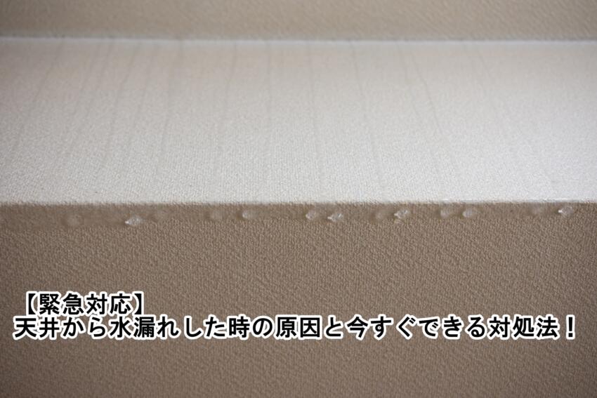 【緊急対応】天井から水漏れしたときの原因と今すぐできる対処法！