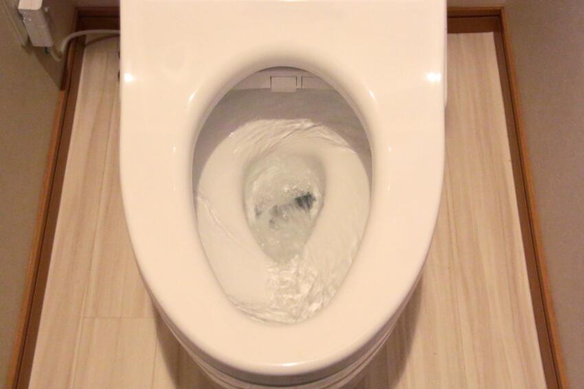 日本のトイレ事情もつまりに影響している可能性