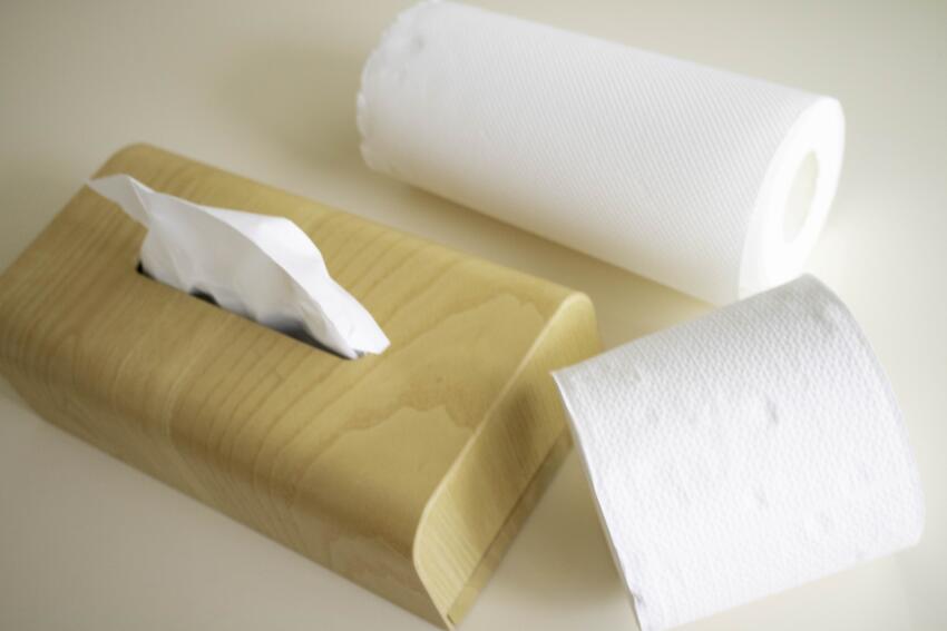 トイレに溶けない紙やシートを流してしまった！ 詰まりの対処と注意点