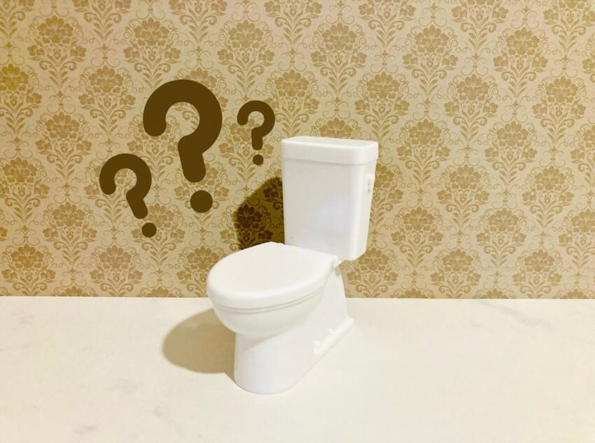 トイレの詰まりが抜けないのはなぜ？