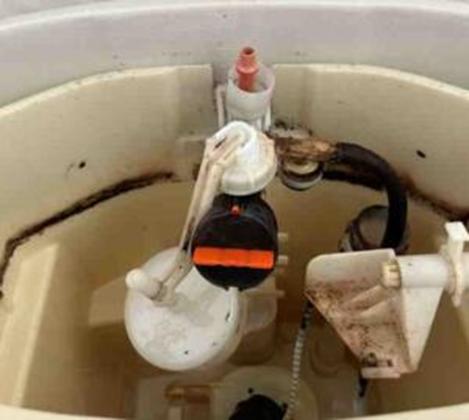 トイレタンク内 掃除