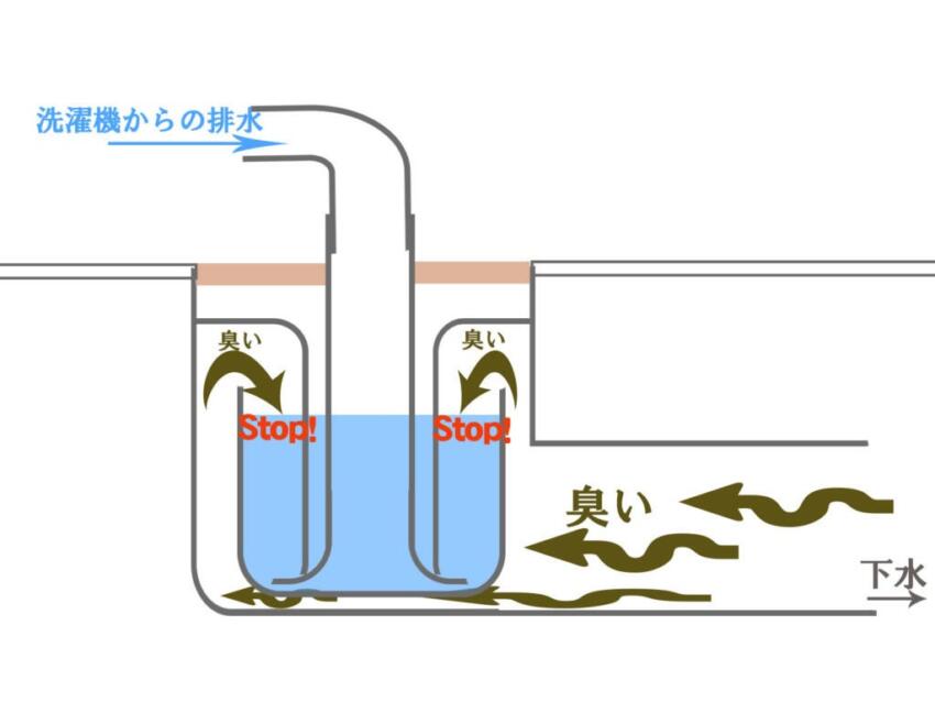洗濯機の排水口の構造
