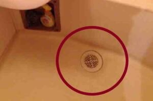 排水口の蓋(目皿)を取り外す