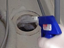 排水溝にカビハイターをスプレーする